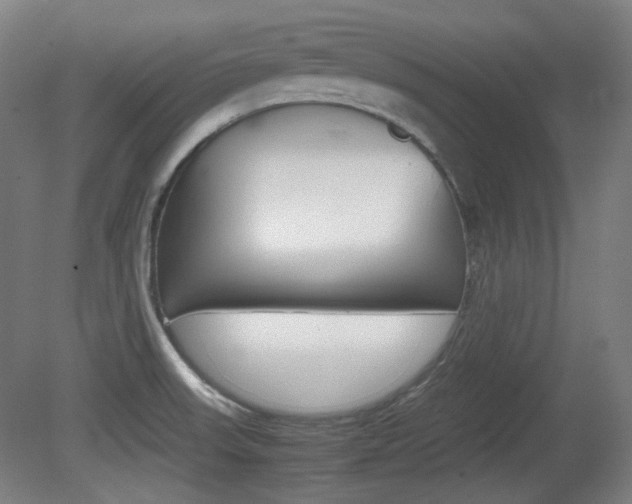 X0000080781523200612151018