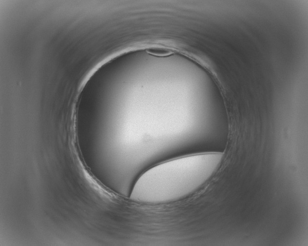 X0000080781524200612151018