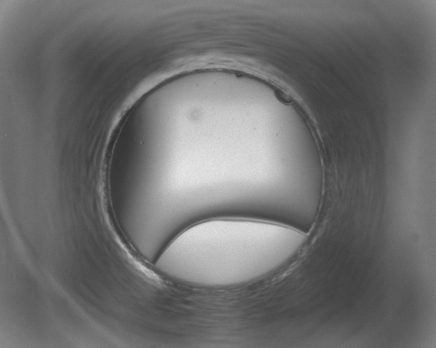 X0000080781525200612151018