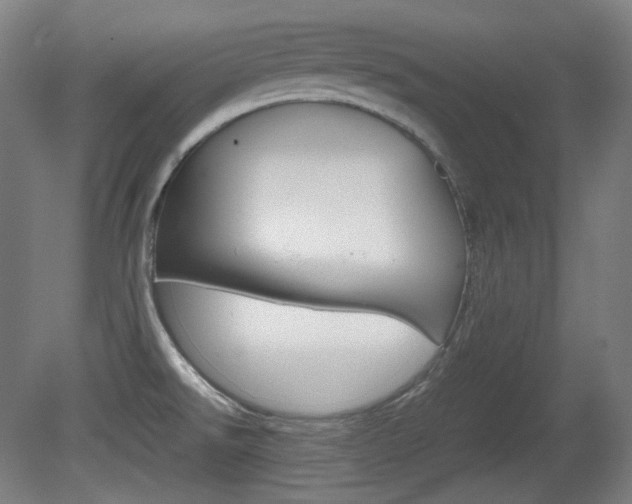 X0000080781526200612151018