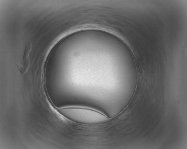X0000080781527200612151018