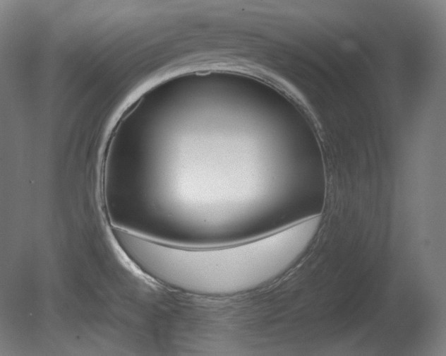 X0000080781528200612151018