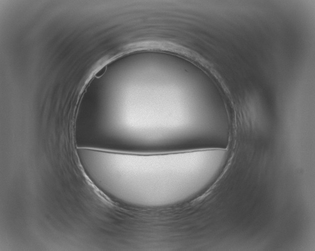 X0000080781529200612151018
