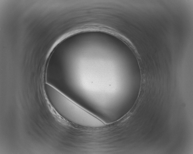 X0000080781530200612151019