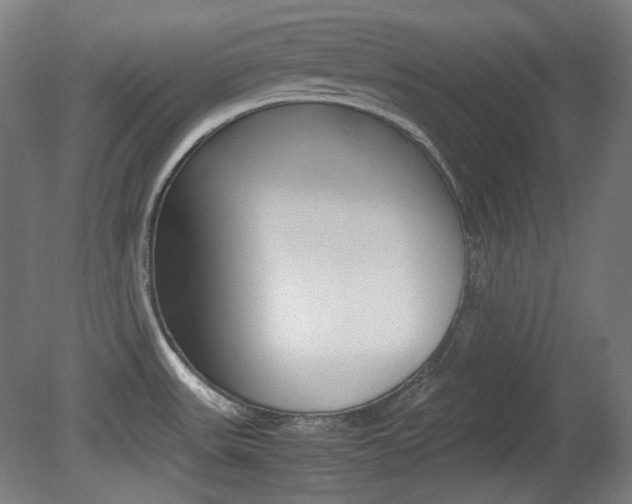 X0000080781531200612151019
