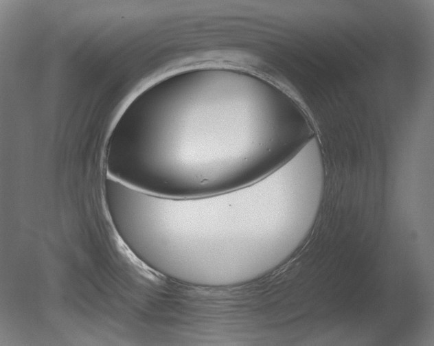 X0000080781532200612151019