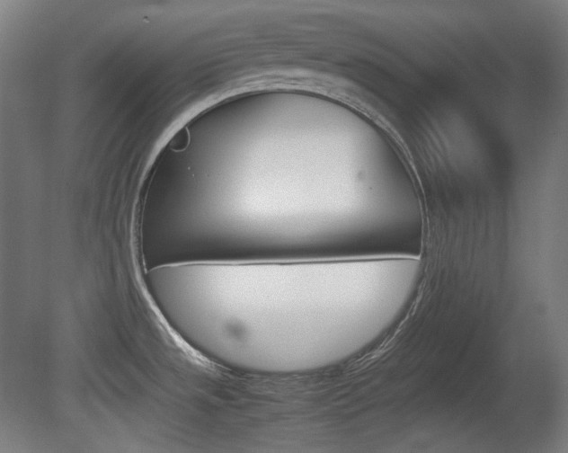 X0000080781533200612151019