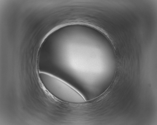 X0000080781534200612151019