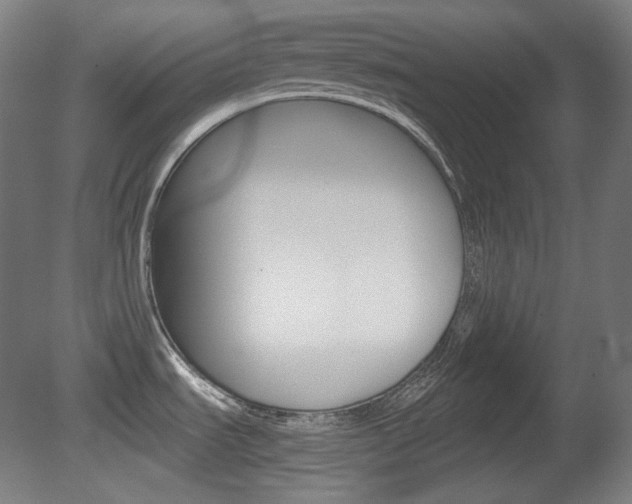 X0000080781535200612151019