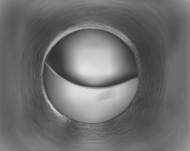 X0000080781536200612151019