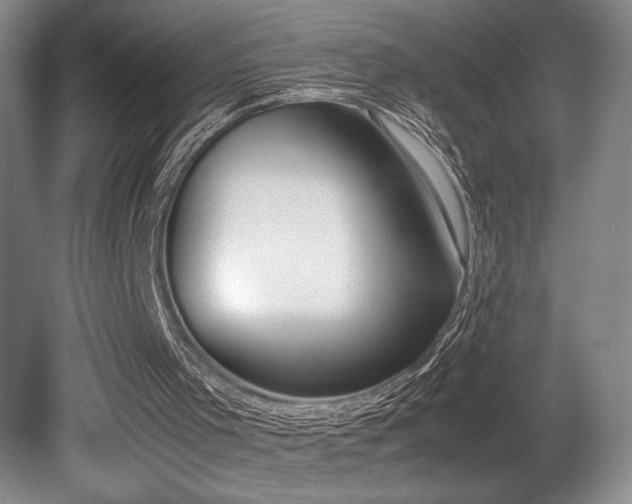 X0000080780001200612151441