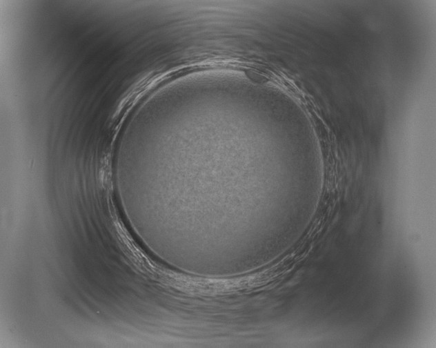 X0000080780002200612151441