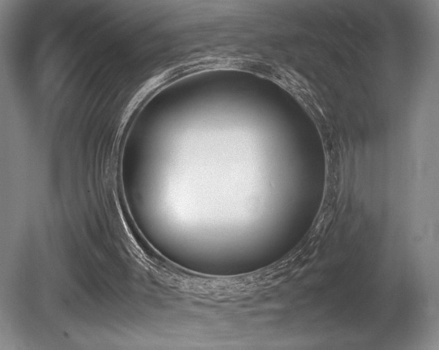 X0000080780003200612151441
