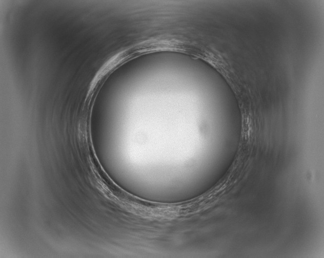 X0000080780004200612151441