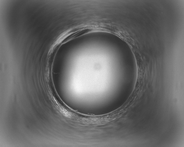 X0000080780005200612151441