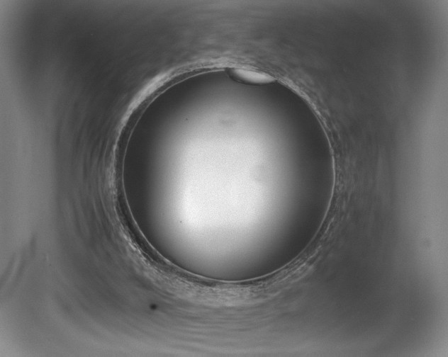 X0000080780008200612151441