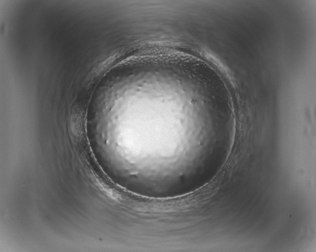 X0000080780009200612151441