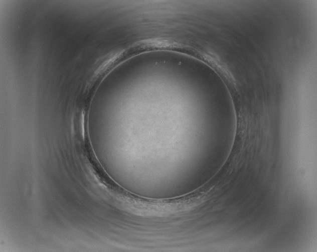 X0000080780014200612151441