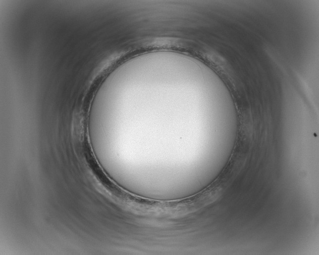 X0000080780016200612151441