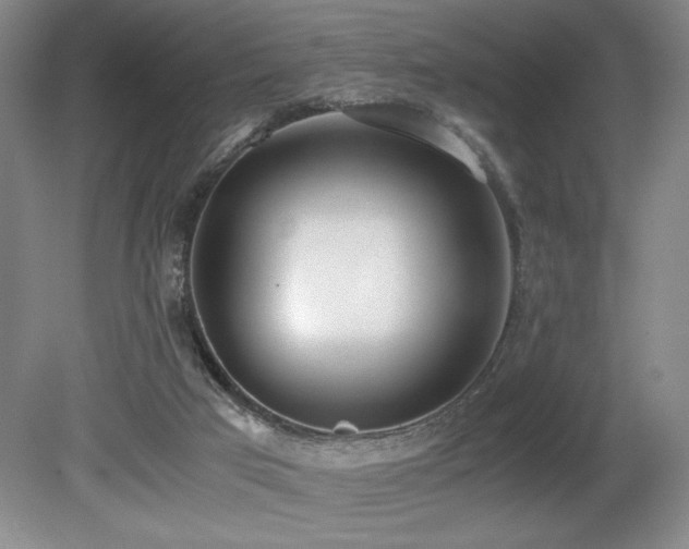 X0000080780017200612151441