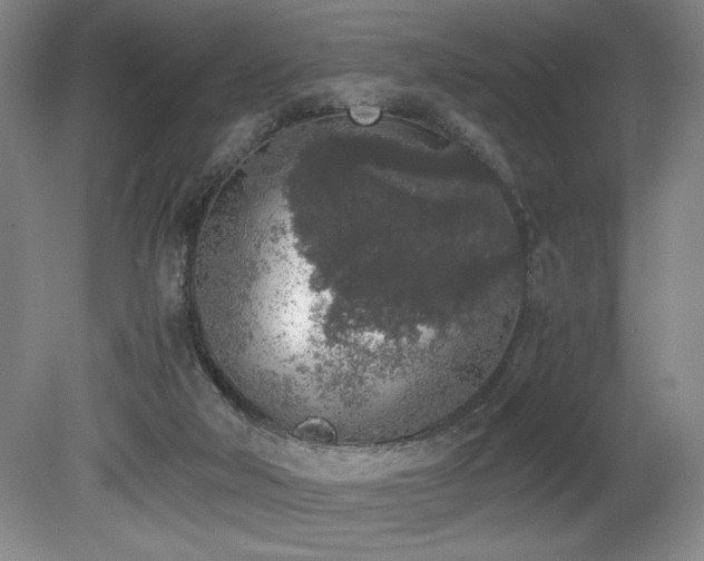 X0000080780018200612151440