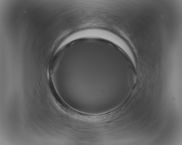 X0000080780019200612151440