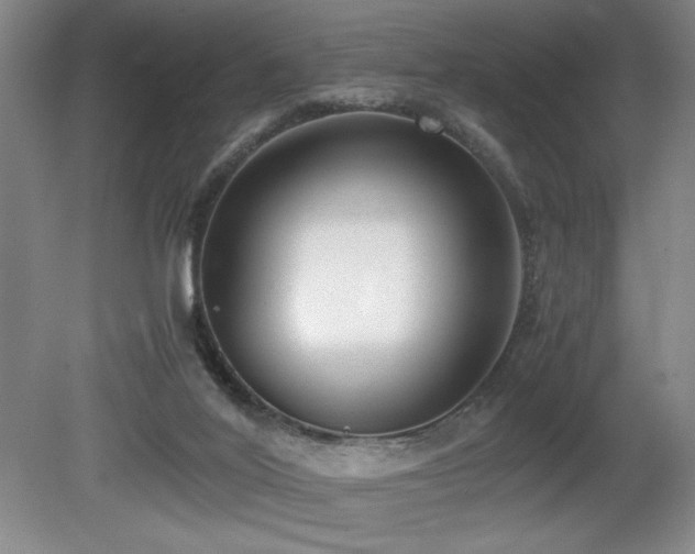 X0000080780020200612151440