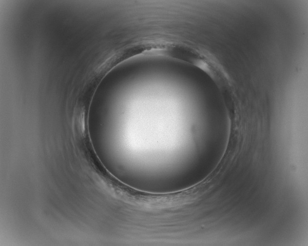 X0000080780021200612151440