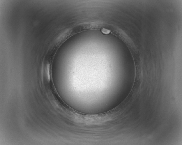 X0000080780022200612151440