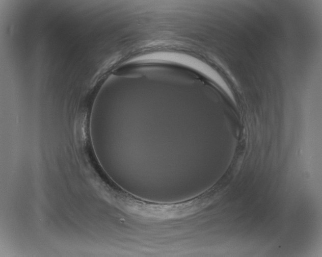 X0000080780023200612151440
