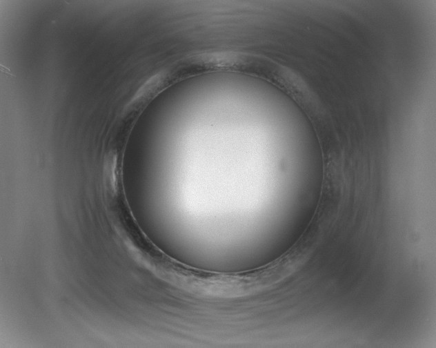 X0000080780024200612151440