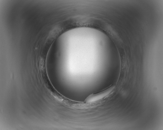 X0000080780025200612151440
