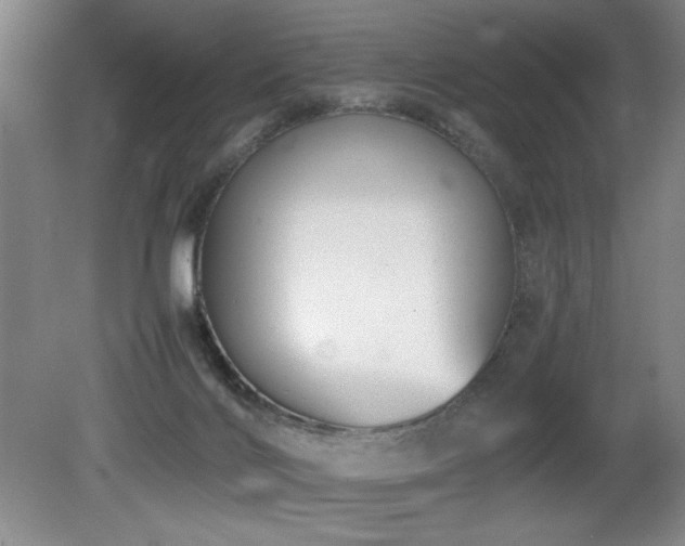 X0000080780028200612151440