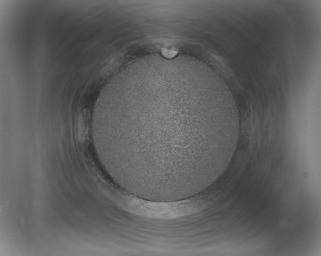 X0000080780030200612151440