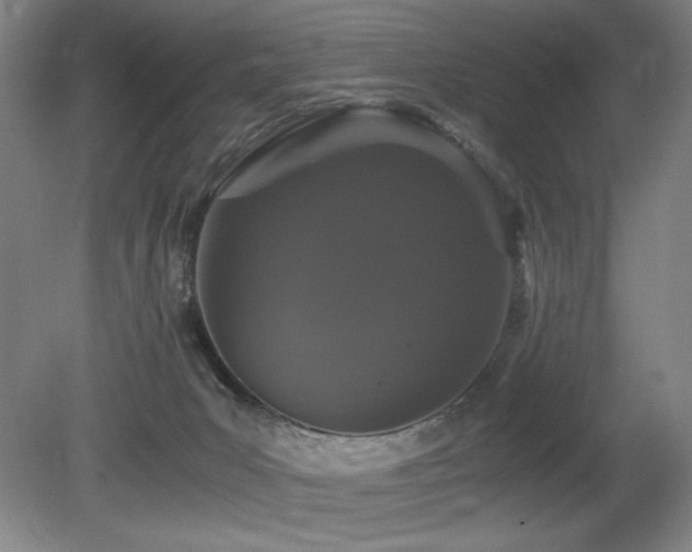 X0000080780031200612151440