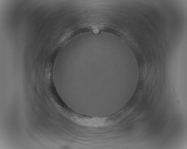 X0000080780032200612151440