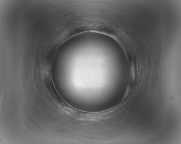 X0000080780033200612151440