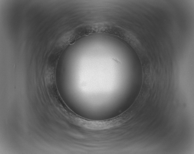 X0000080780034200612151440