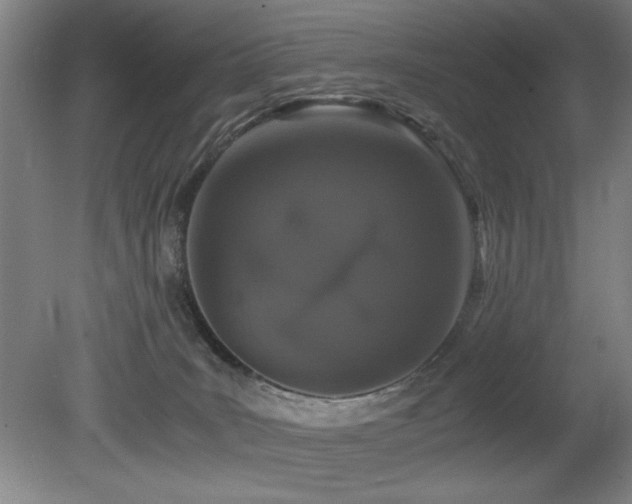 X0000080780035200612151440