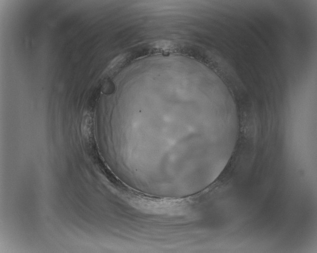 X0000080780036200612151440