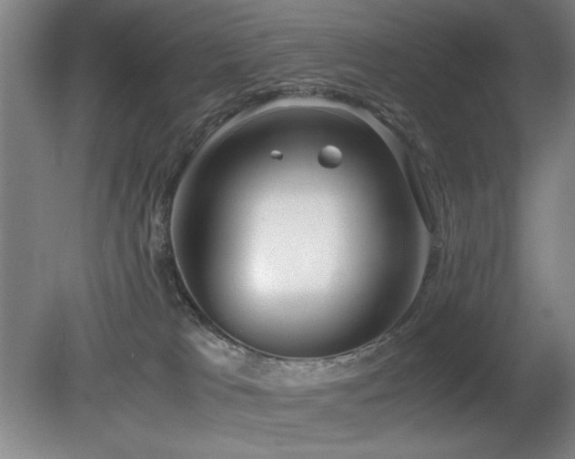 X0000080780037200612151440