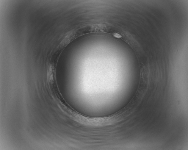 X0000080780038200612151440