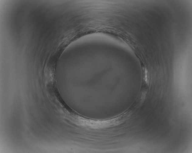 X0000080780039200612151440