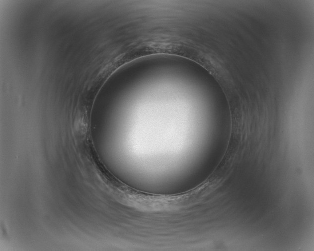 X0000080780040200612151440
