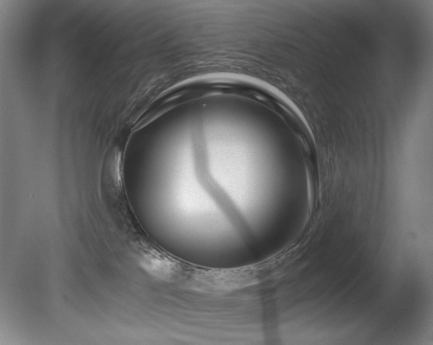 X0000080780041200612151440