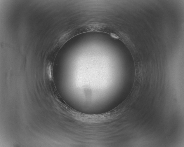 X0000080780042200612151440