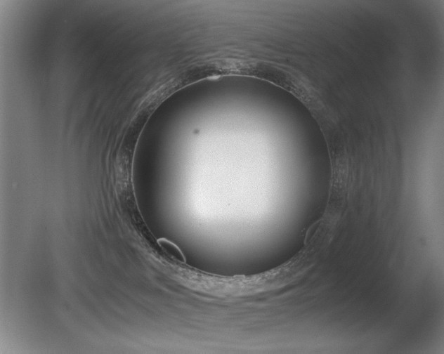 X0000080780043200612151440