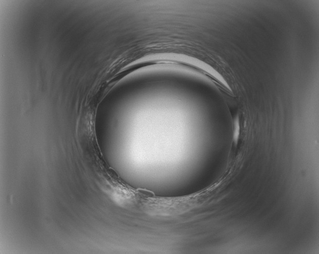 X0000080780045200612151440