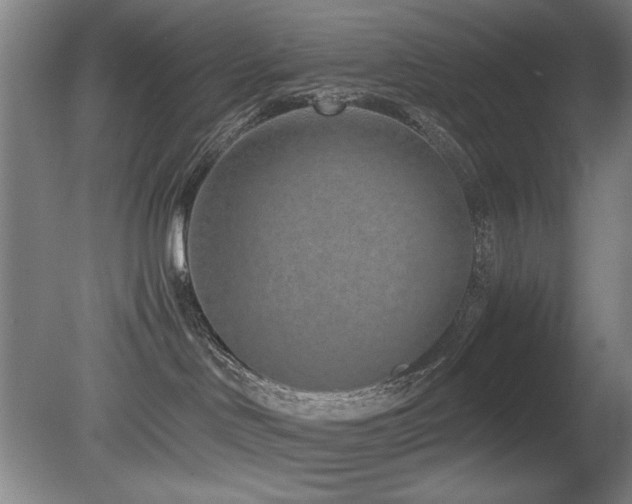 X0000080780046200612151440