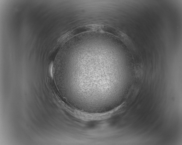 X0000080780047200612151440